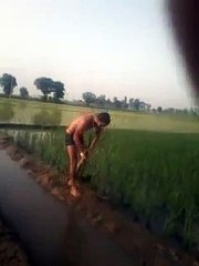 Funny Videos Compilation 2015  WhatsApp Videos Funny Indian Videos  Vine Compilation Part 223