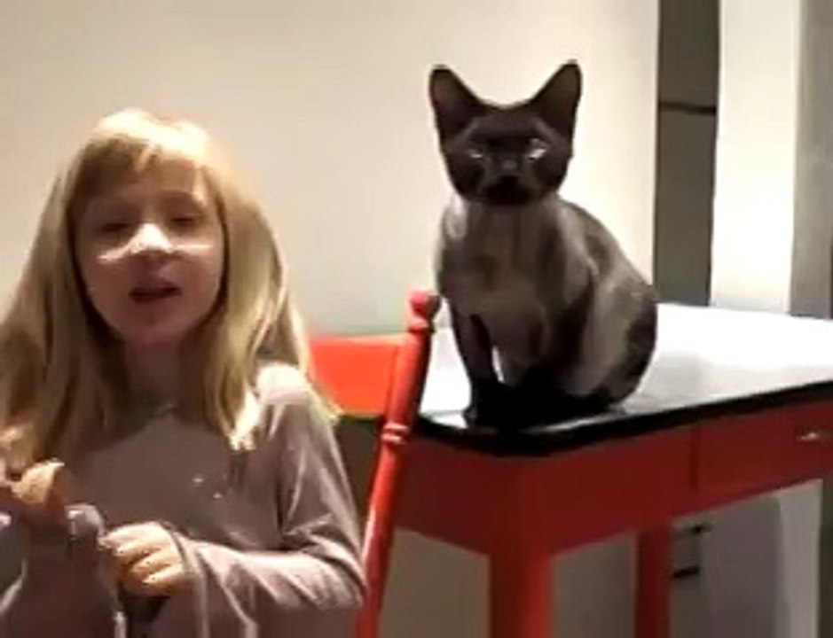 Кот умеет открывает холодильник!