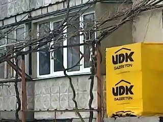 Кошка котят домой несет. Хозяйка будет рада!