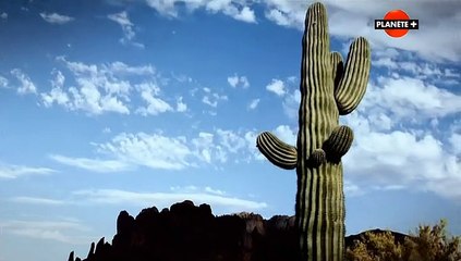 Chasseurs De Légendes s02e03 La Mine D'or Du Hollandais Perdu
