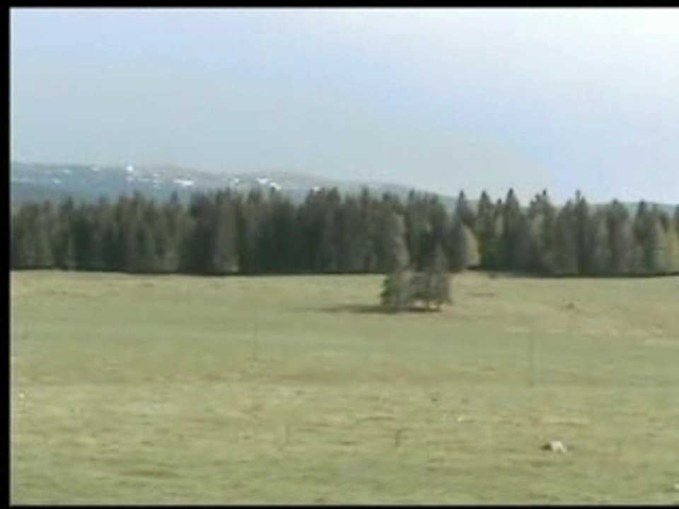 L'allemagne au printemps