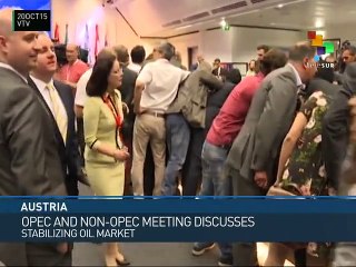 Austria – Vienna Oil Summit Discusses Stabilization of Oil Market