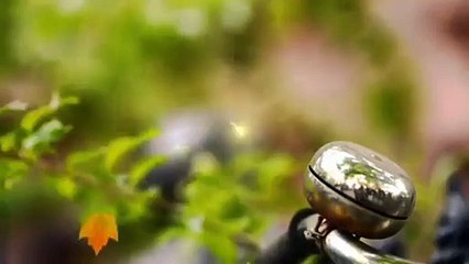 Disney Channel US - Fall 2015 - Liv And Maddie - Next