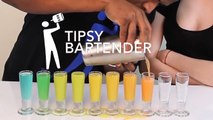 Yin Yang Martini Tipsy Bartender