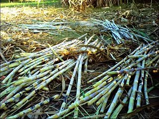 MANSOOR MALANGI PARDASI GHAZAL