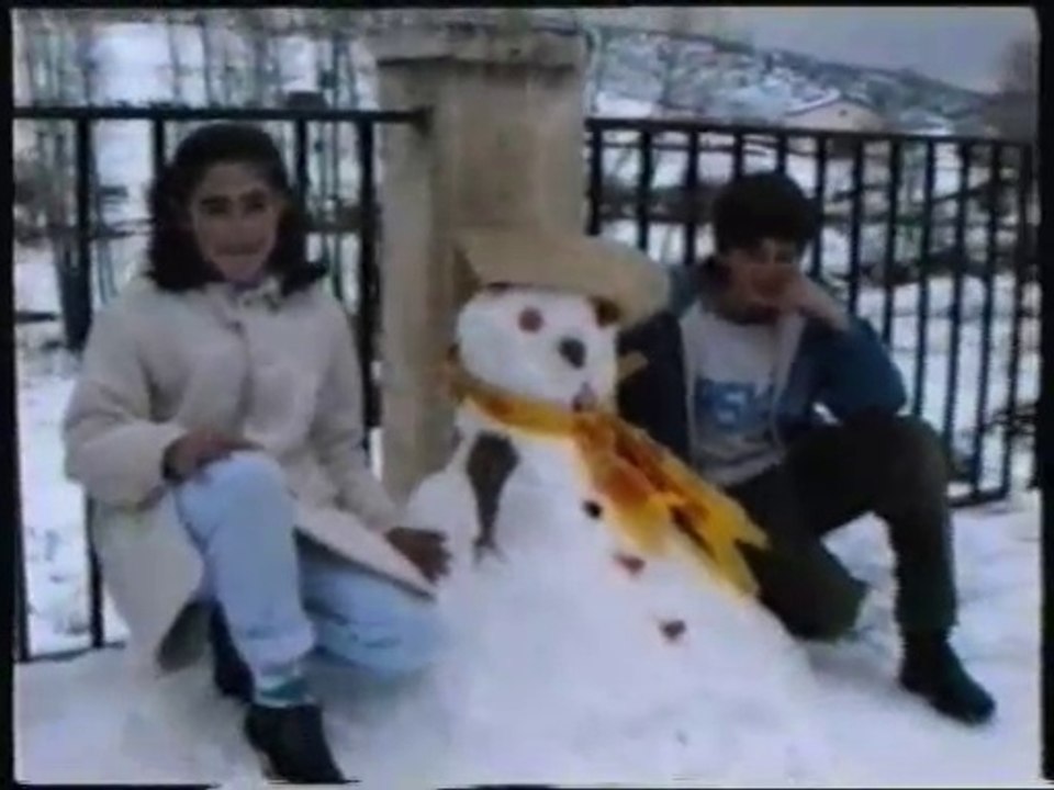Bezas Nevada 1991