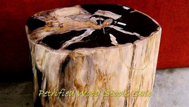 Petrified Wood Stools on sale now