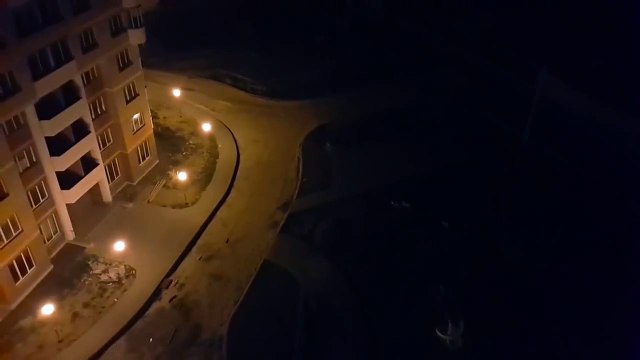 Если дворняжки мешают спать, их надо чем-то занять.