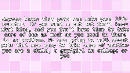 7 Pets That Are Easy to Take Care Off