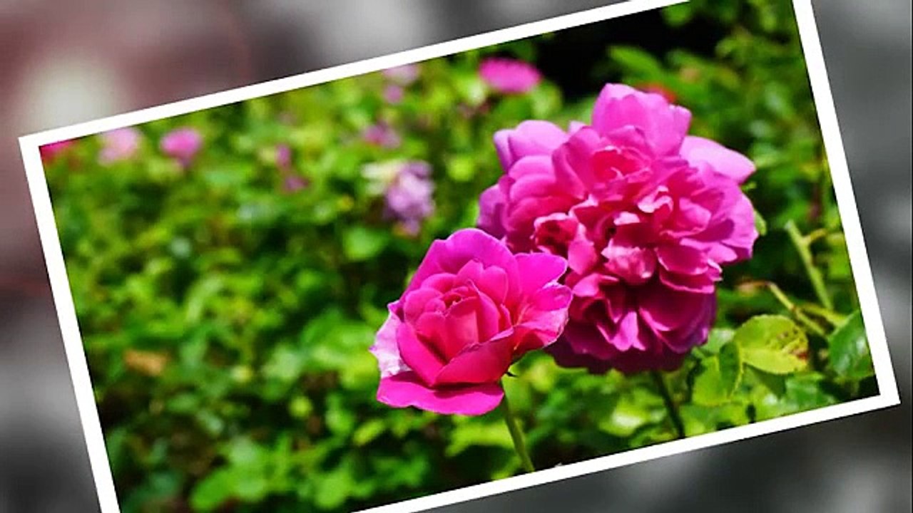 5 Camera Settings Everyone Should Know