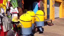 Minions haciendo bromas | VIDEOS GRACIOSOS