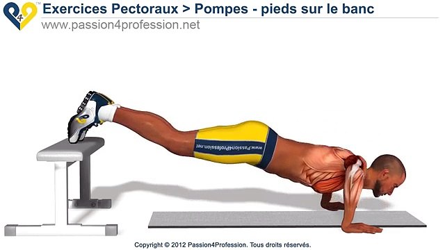 C'est une exercice parfait pour des muscles pectoraux - faire pectoraux pompes - pieds sur le banc