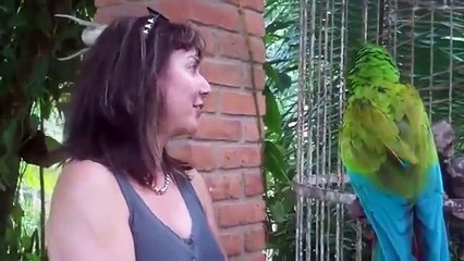 Woman talking to a parrot. Funny woman and Parrot