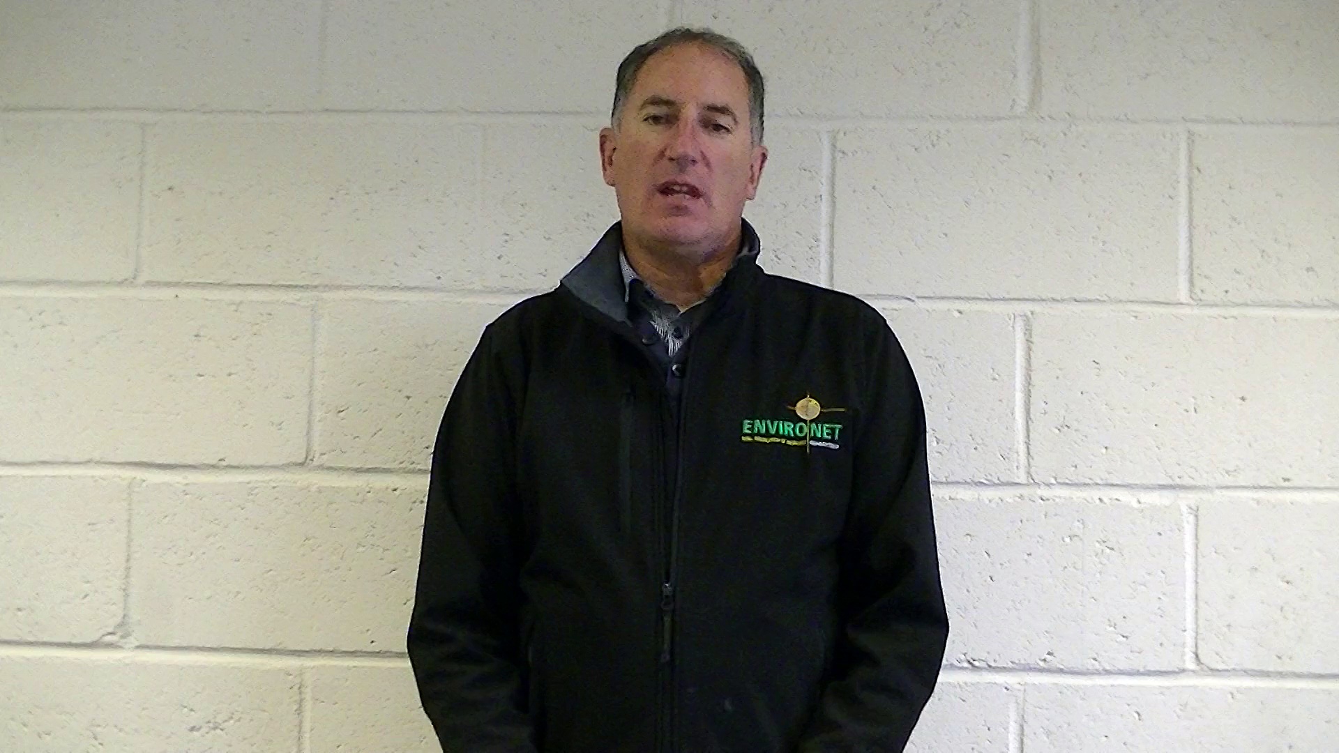 What is Japanese knotweed