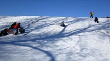 Sled Vs Tree, Guess Who Wins