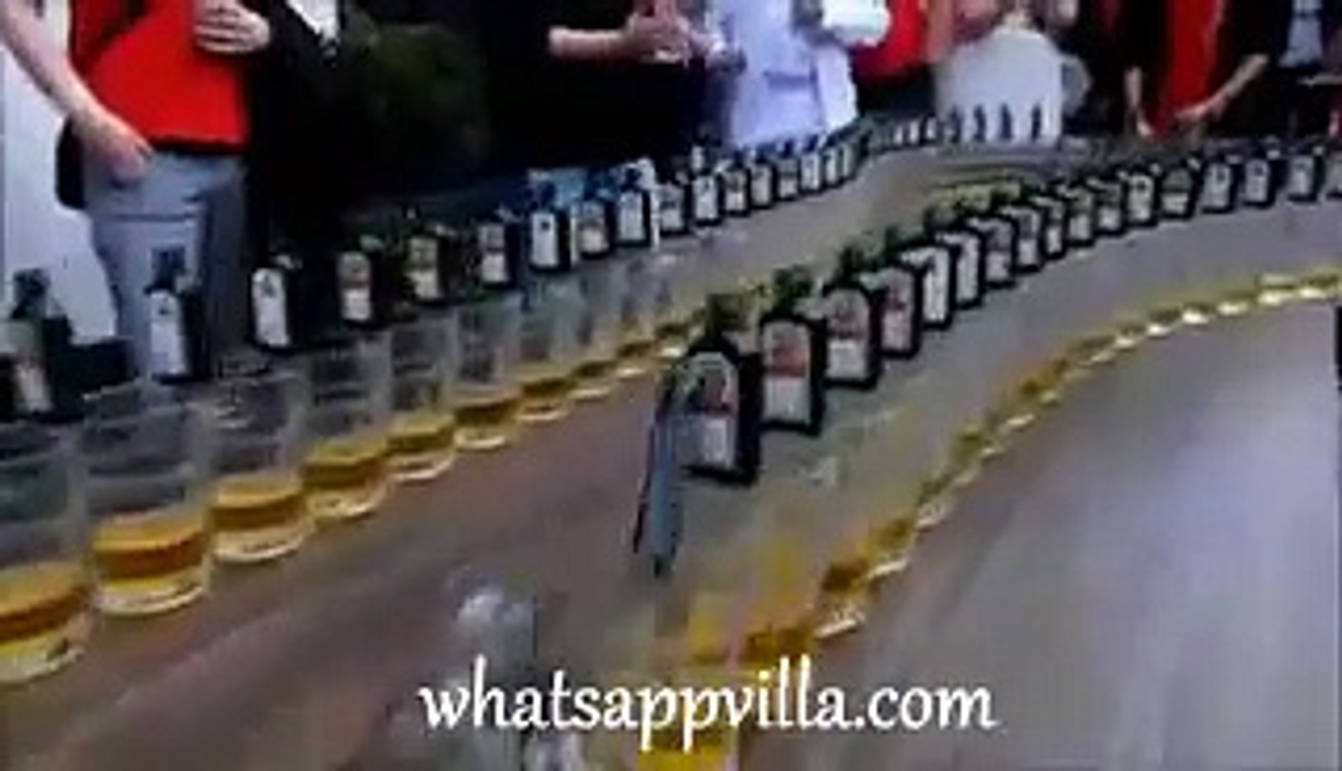 Amazing Funny Moments...........................