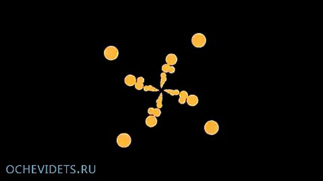 В Перми разъяренные пассажиры автобуса устроили самосуд над водителем-нарушителем