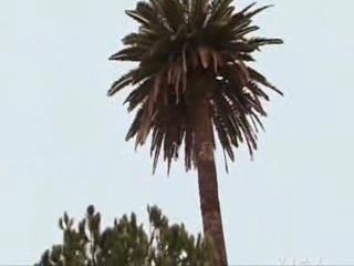 Dirt - 1x11 - part 3