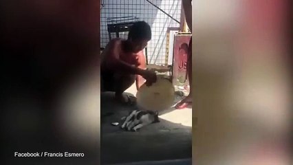 Man Brings A Puppy Back To Life, real Miracle