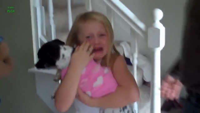 Лучший подарок - это собака