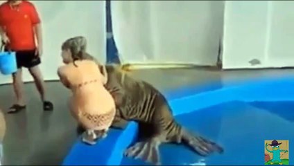 Funny animals, Funny animals compilation try not to laugh