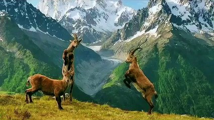 beuty in pakistan-invest in pakistan..