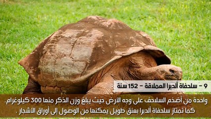 أكبر 10 حيوانات عمرا على وجه الأرض  سبحان الله