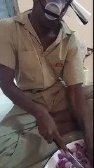 إختراع ل البصل نعم أيها اليابانيون نحن قادمون هاهاها