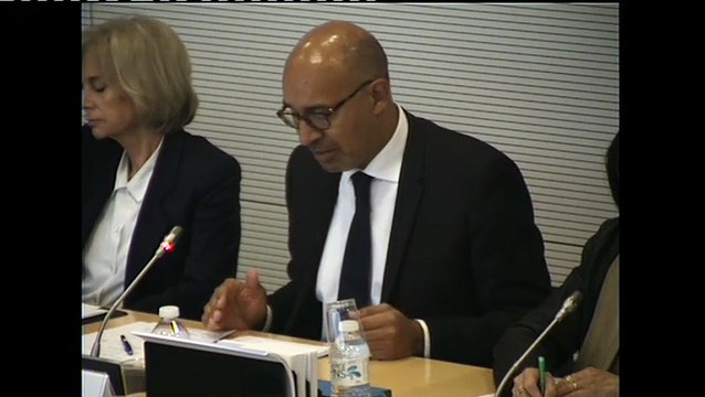 Audition post-Conseil européen : intervention d'H. Désir devant les députés