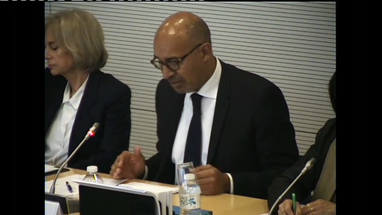 Audition post-Conseil européen : intervention d'H. Désir devant les députés