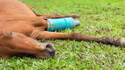 2 İlginç Sorunun Cevabı