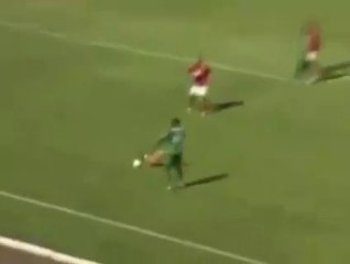 When animals attack the football pitch... they make humans look very silly!