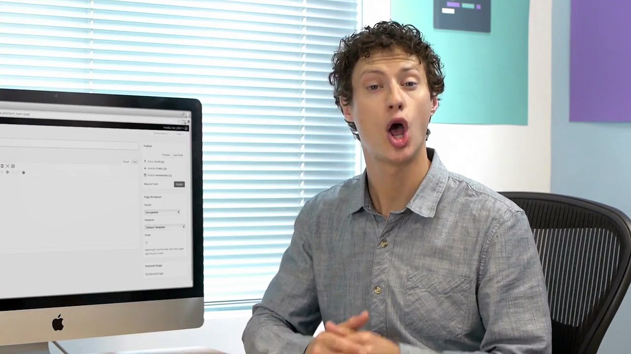 wordpress (Post, Pages and Custom Post Types)