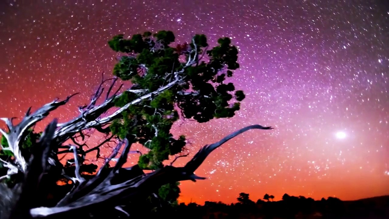 Body&Soul&Fourward – No One Here(feat Filo), video by Zrm