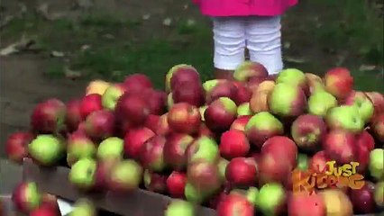 APPLES OVER HOPSCOTCH PRANK - Just Kidding