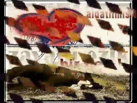 Acemkizi Unut beni Can (Süper Şiir)