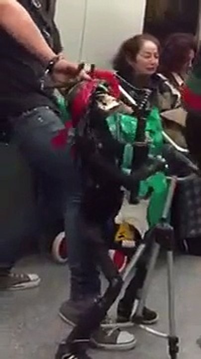 Skeleton Puppet On The Subway Sings Guns and Roses-by Funny Videos Collection