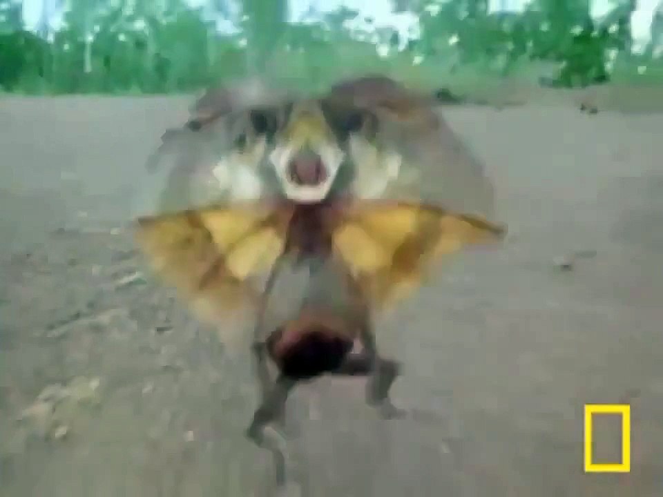 Ублюдок мать твою
