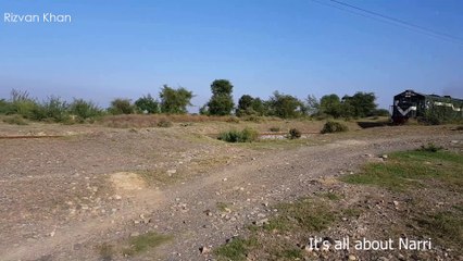 Train- It's all about Narri