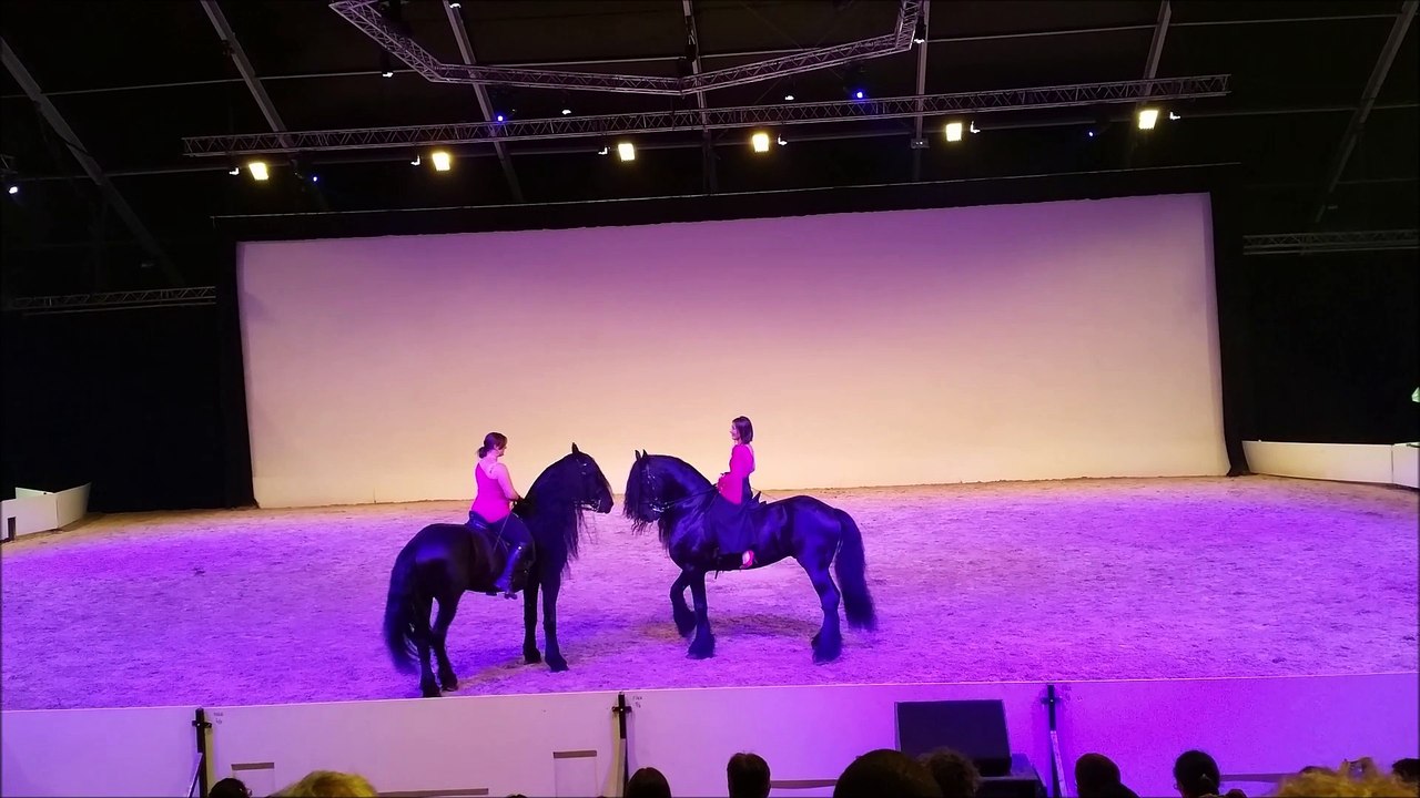 Equestria 2015