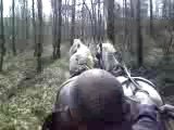 Attelage de 4 chevaux au galop !!