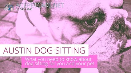 In your house dog sitting, and what you should learn