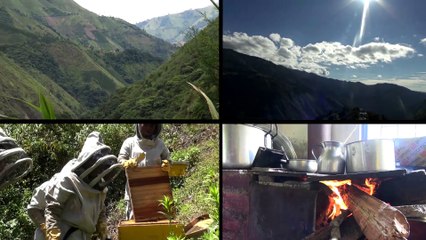 El renacer de nuestros sueños (Sinopsis)