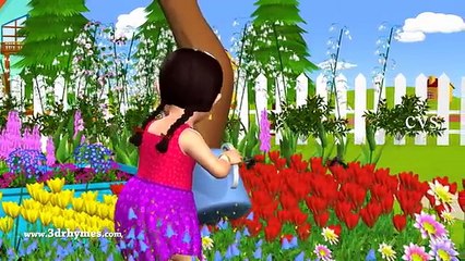 Baa Baa Black Sheep   Humpty Dumpty Kids Songs & More 3D English Nursery Rhymes For Children
