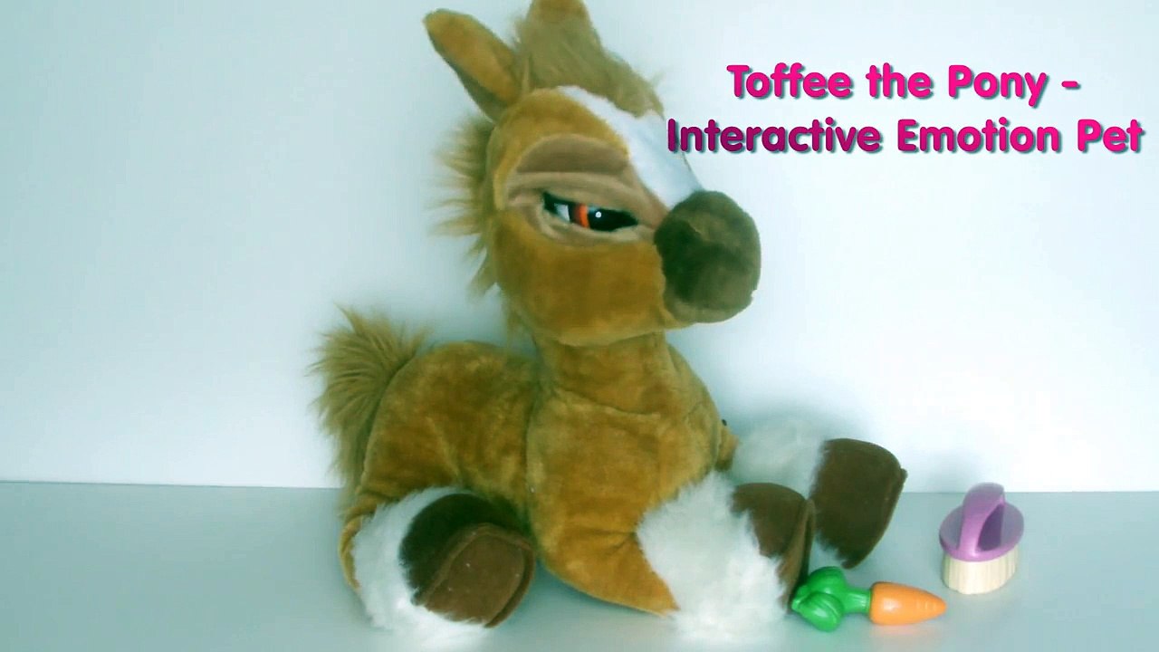 toffee horse toy