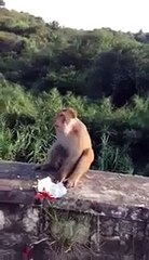 VID-20151020-WA0000.mp4