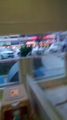 satılık boo pomeranian orijinal secereli 05414501227