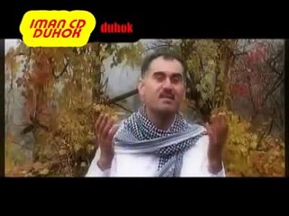 Ferset Hisen bejna te