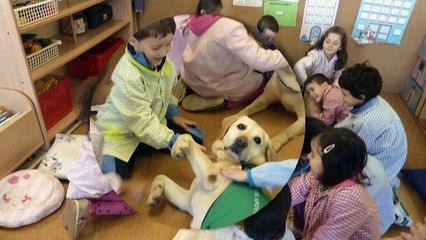 VIDEO TERAPIA CANINA