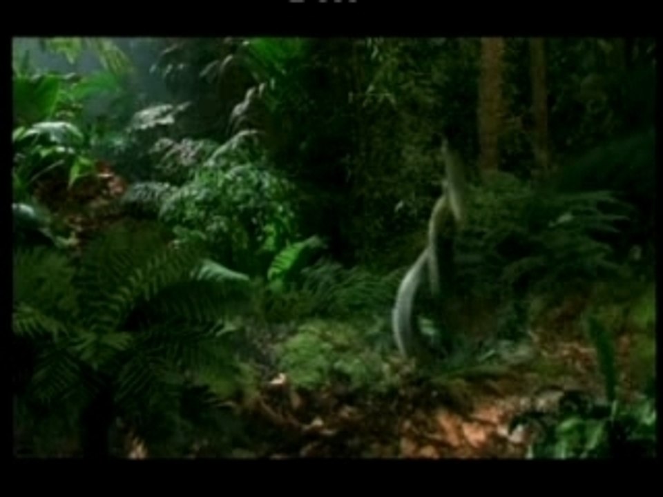 PUB X BOX "mosquito"